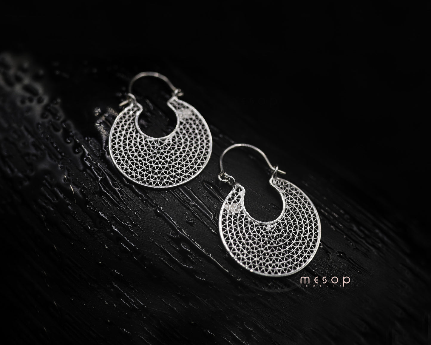 Circle of Elegance Earrings