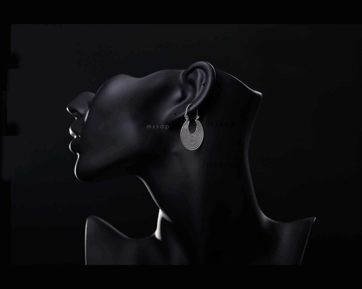 Circle of Elegance Earrings