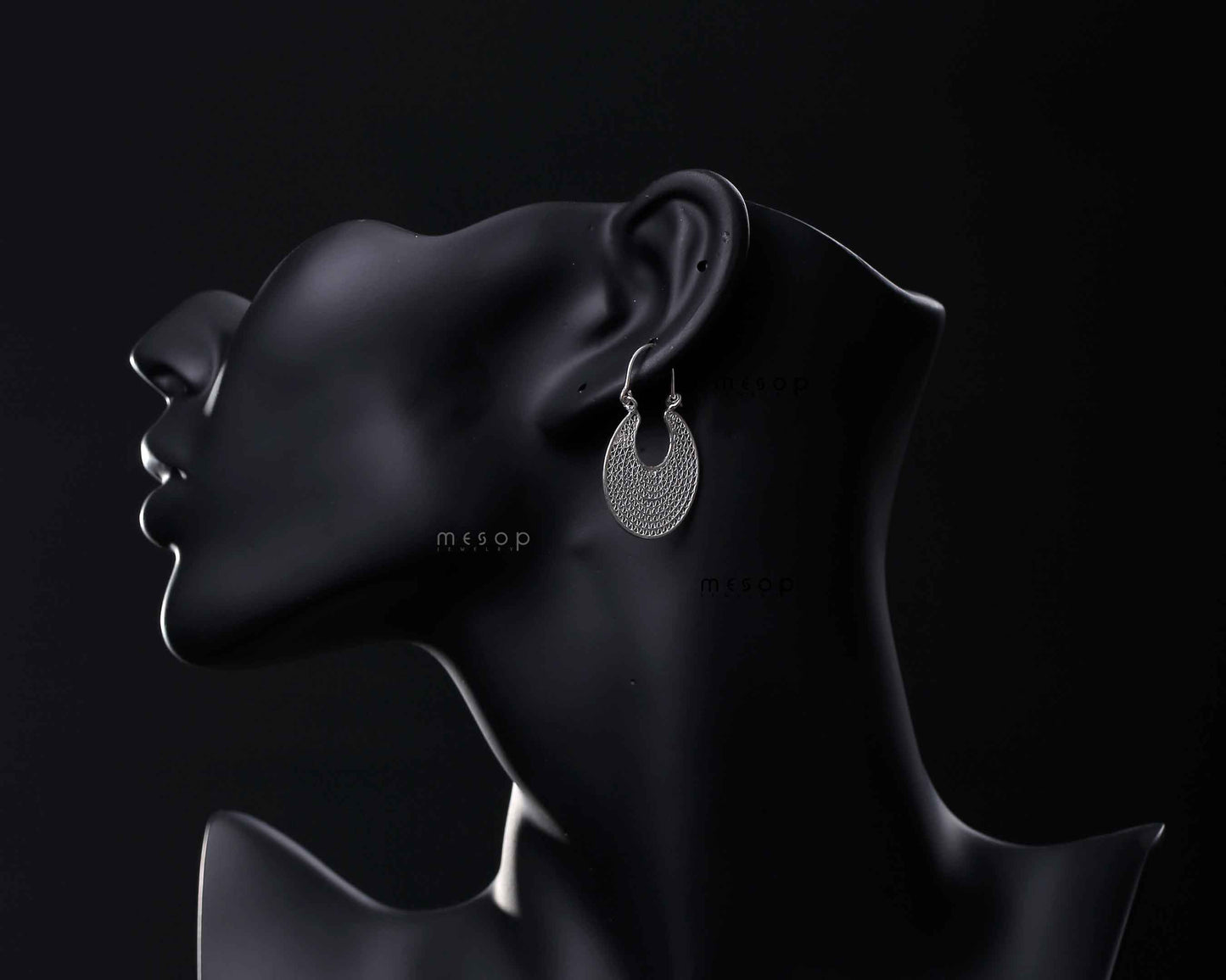 Circle of Elegance Earrings